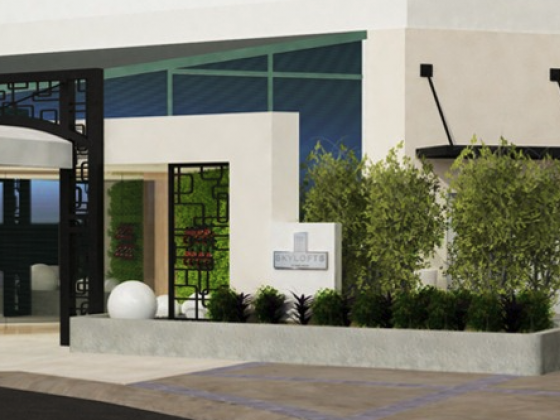 Moser Architecture Studio