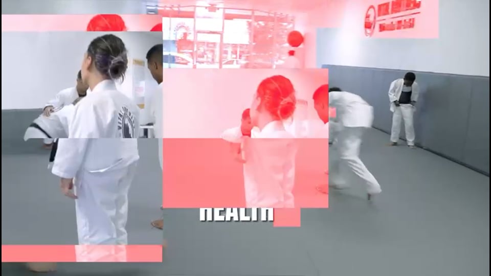 Vital Brothers Brazilian Jiu Jitsu