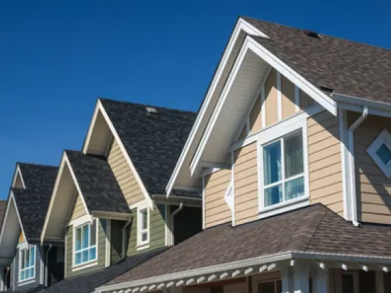 Vegas Born Roofing