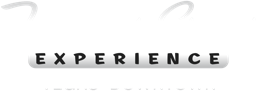 Fremont Street Experience