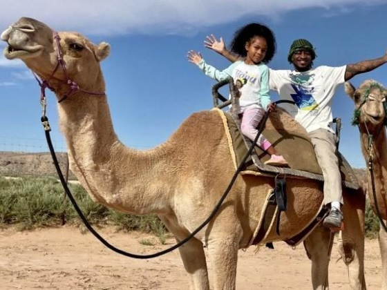 Camel Safari