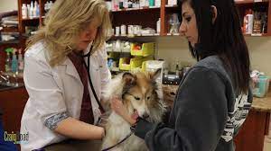 Craig Road Animal Hospital