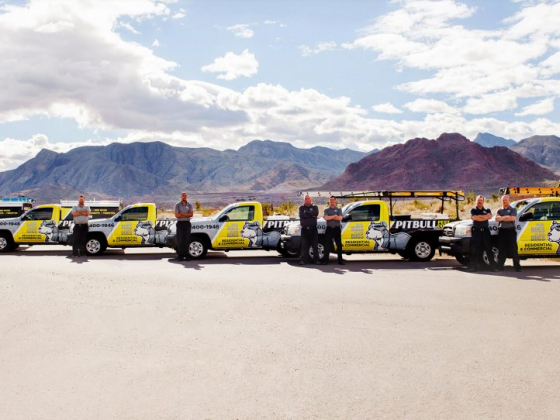 Pitbull Pest Control