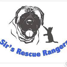 Sir's Rescue Rangers