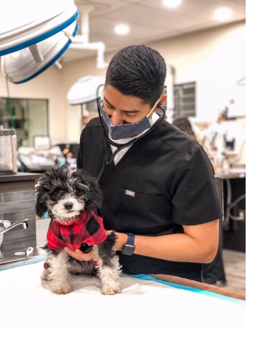 Sunridge Animal Hospital